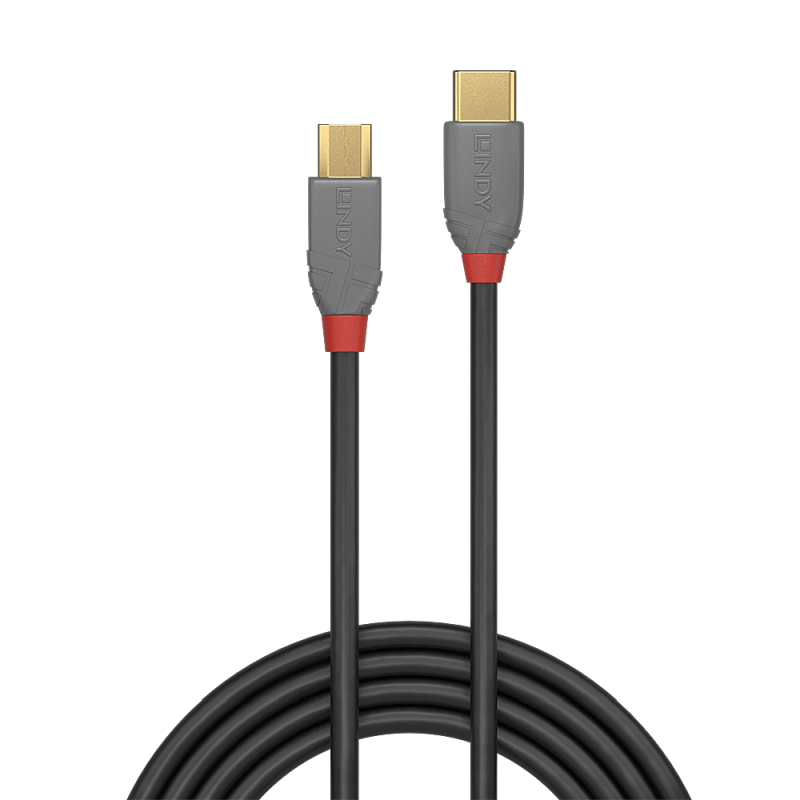 Lindy 0.5m USB-C 2.0 to Micro-B Cable - Anthra Line