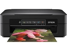 Epson Expression Home XP-245